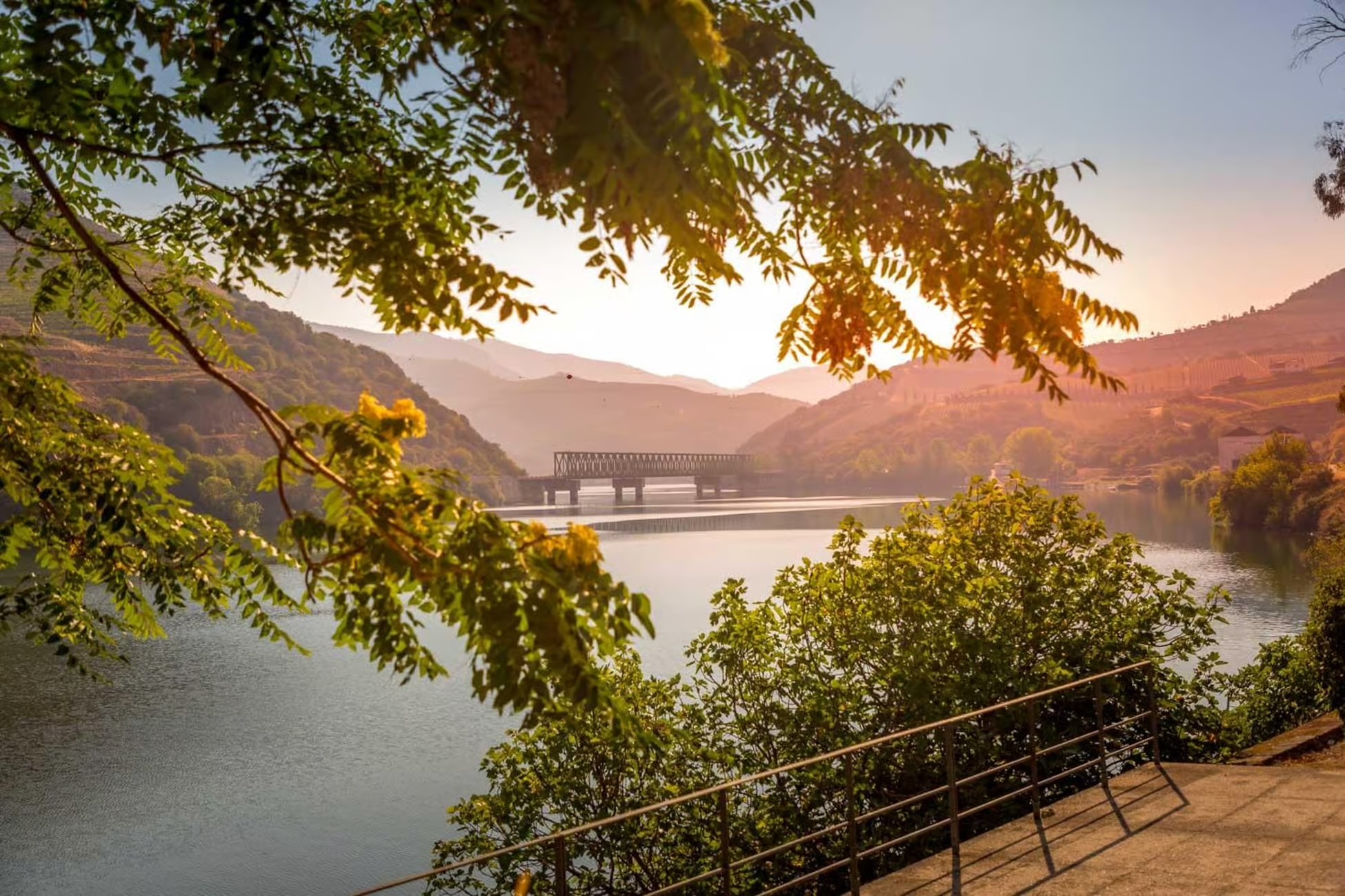 Douro Cruises & Boat Tours
